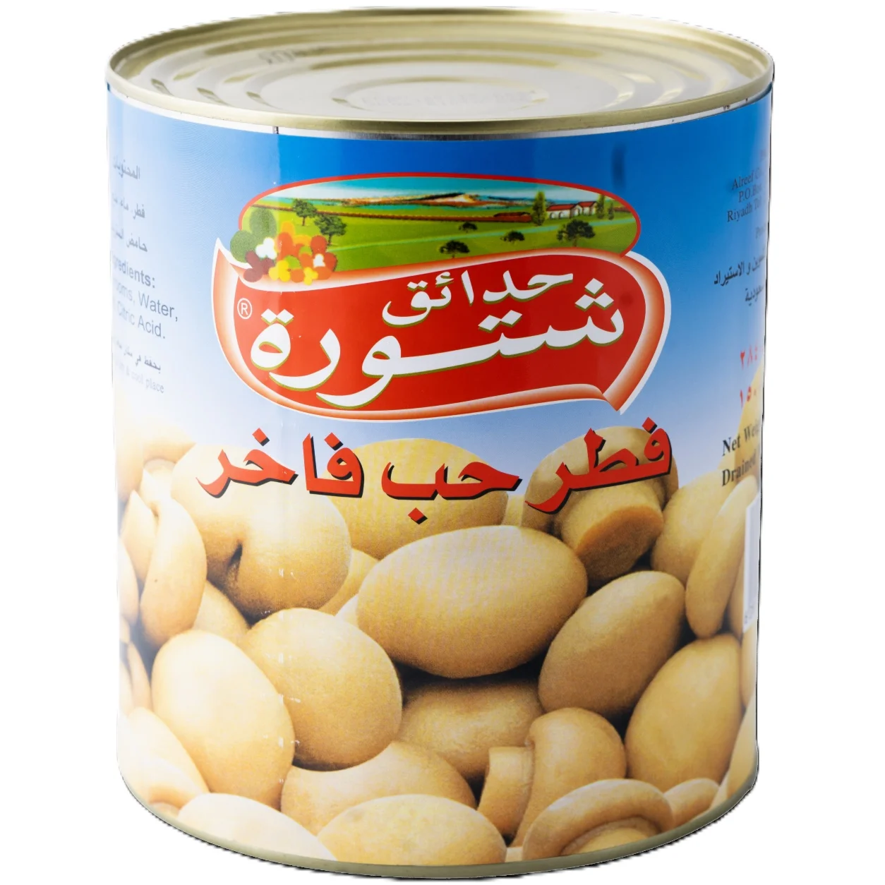 Chtoura Garden Whole Mushroom 2840 g